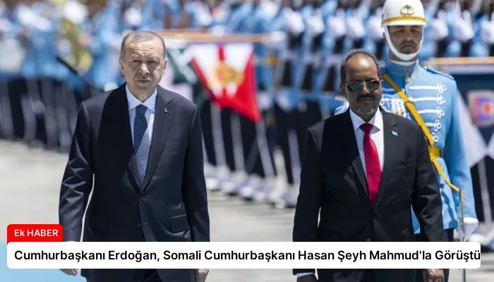Cumhurbaşkanı Erdoğan, Somali Cumhurbaşkanı Hasan Şeyh Mahmud’la Görüştü