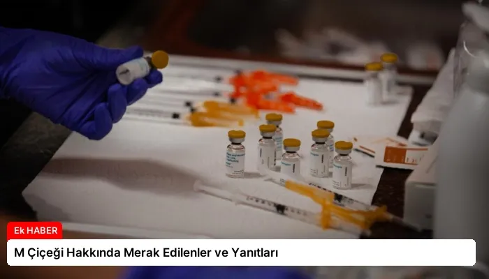 M Çiçeği Hakkında Merak Edilenler ve Yanıtları