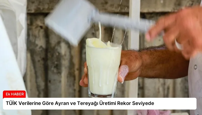 TÜİK Verilerine Göre Ayran ve Tereyağı Üretimi Rekor Seviyede