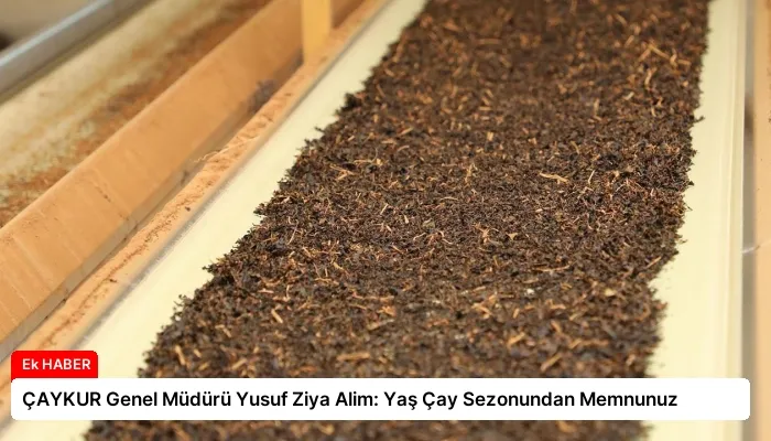 ÇAYKUR Genel Müdürü Yusuf Ziya Alim: Yaş Çay Sezonundan Memnunuz