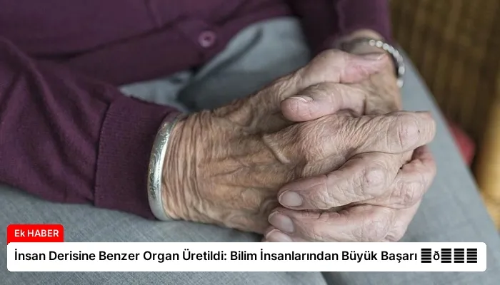 İnsan Derisine Benzer Organ Üretildi: Bilim İnsanlarından Büyük Başarı ⏬👇