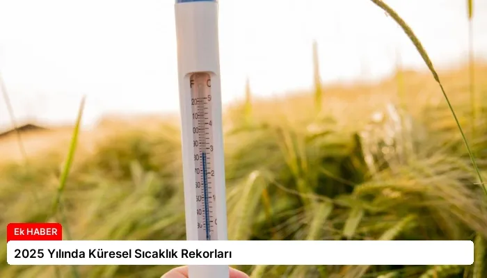 2025 Yılında Küresel Sıcaklık Rekorları