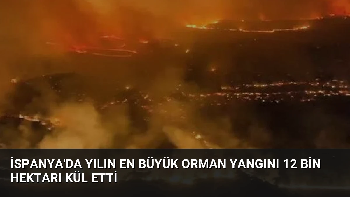 İspanya’da Yılın En Büyük Orman Yangını 12 Bin Hektarı Kül Etti