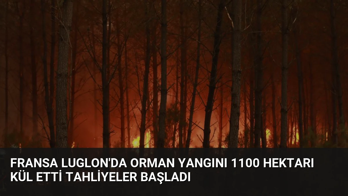 Fransa Luglon’da Orman Yangını 1100 Hektarı Kül Etti Tahliyeler Başladı