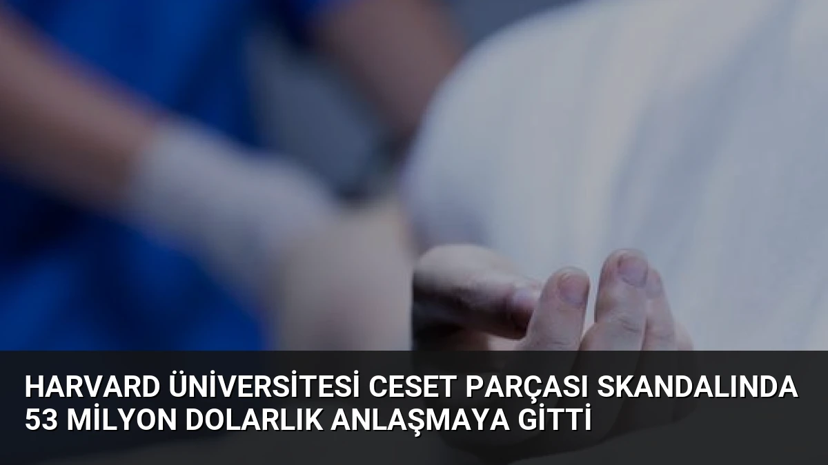 Harvard Üniversitesi Ceset Parçası Skandalında 53 Milyon Dolarlık Anlaşmaya Gitti