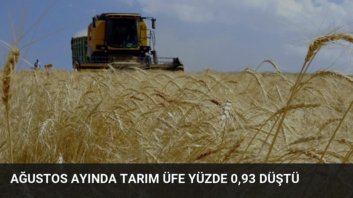Ağustos Ayında Tarım ÜFE Yüzde 0,93 Düştü