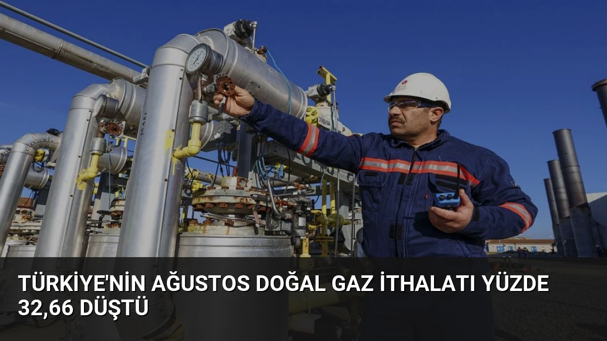 Türkiye’nin Ağustos Doğal Gaz İthalatı Yüzde 32,66 Düştü